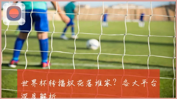 世界杯转播权花落谁家？各大平台深度解析
