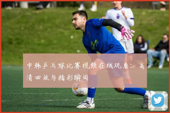 中韩乒乓球比赛视频在线观看：高清回放与精彩瞬间