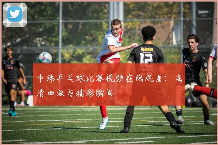 中韩乒乓球比赛视频在线观看：高清回放与精彩瞬间
