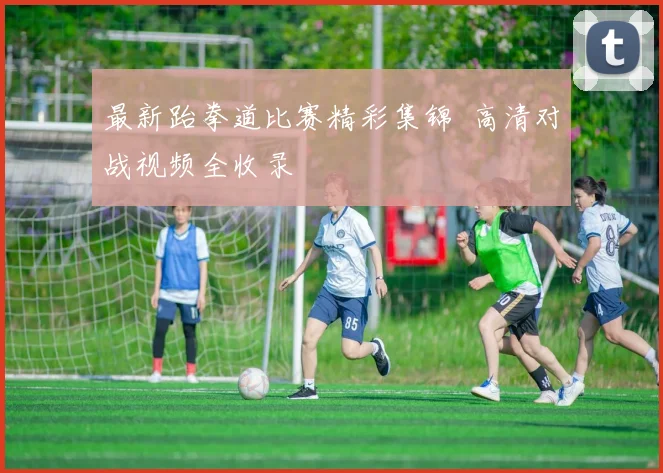 最新跆拳道比赛精彩集锦 高清对战视频全收录